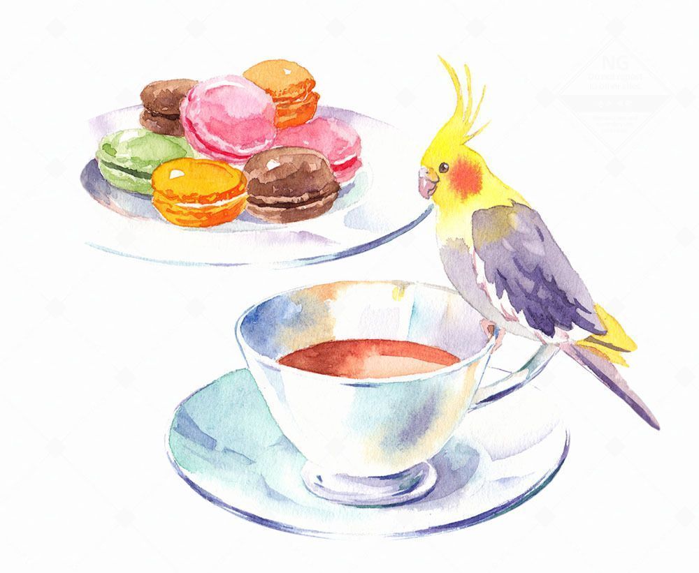 オカン羊 tweet media