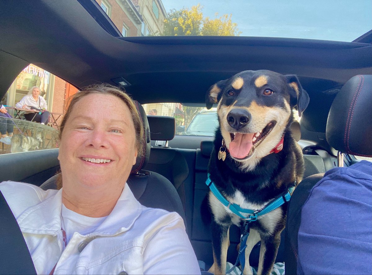 Only in Bucks County tweet media