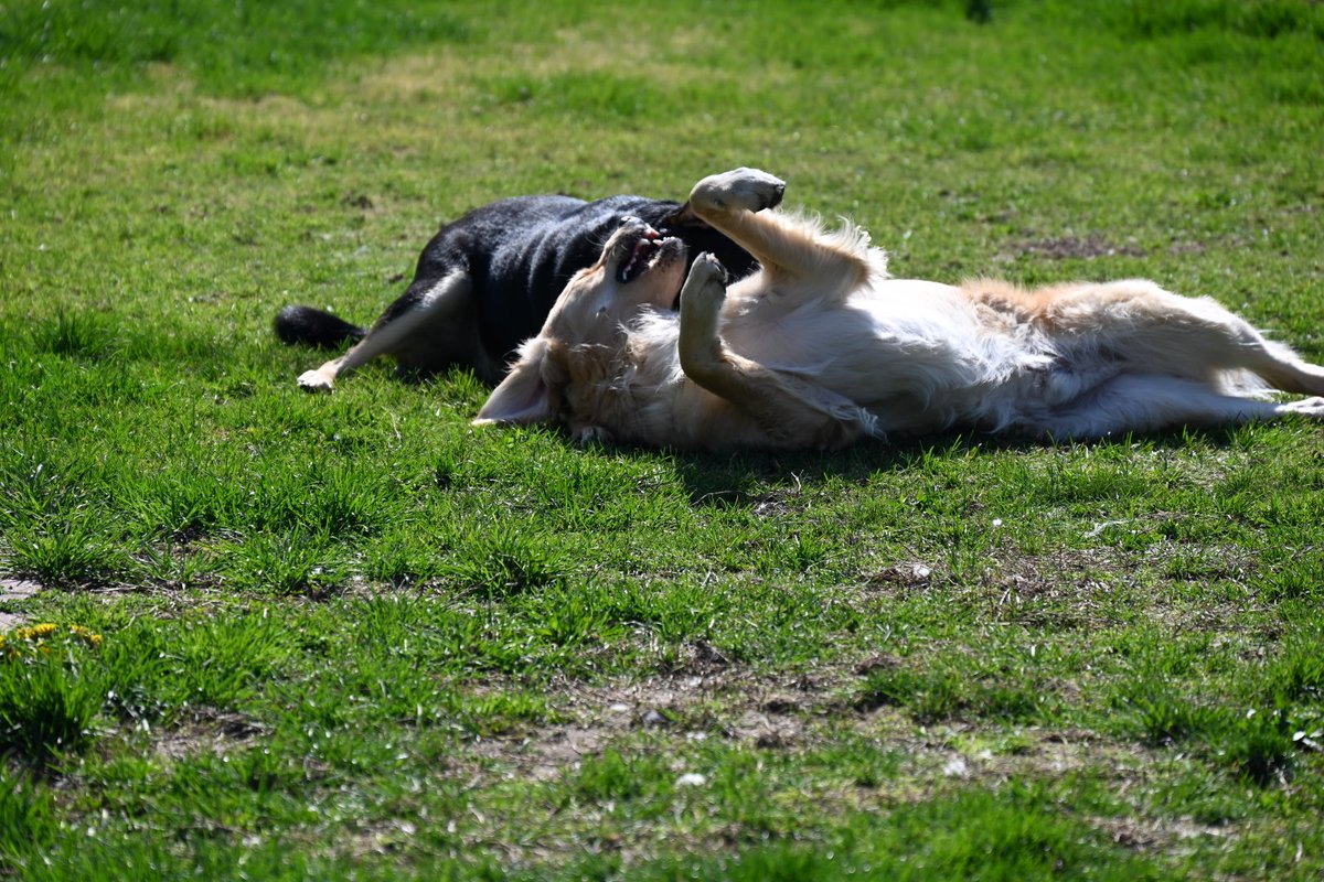 Only in Bucks County tweet media