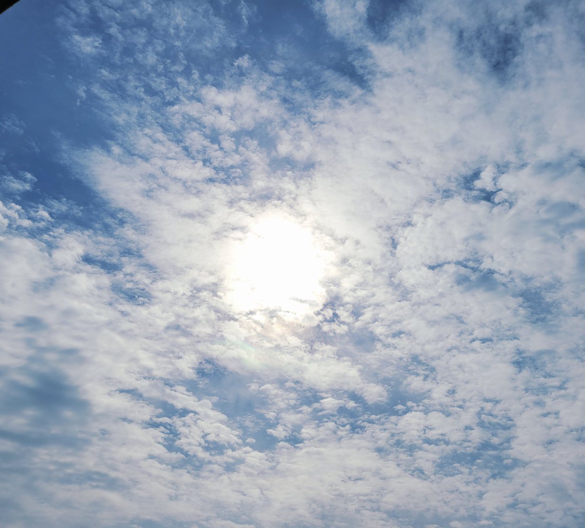 チーコ迷夢🐌何時もありがと🍀 tweet media