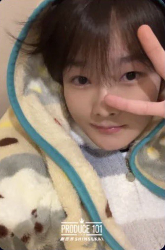 くまねこ@平島輝デビュー(言霊) tweet media