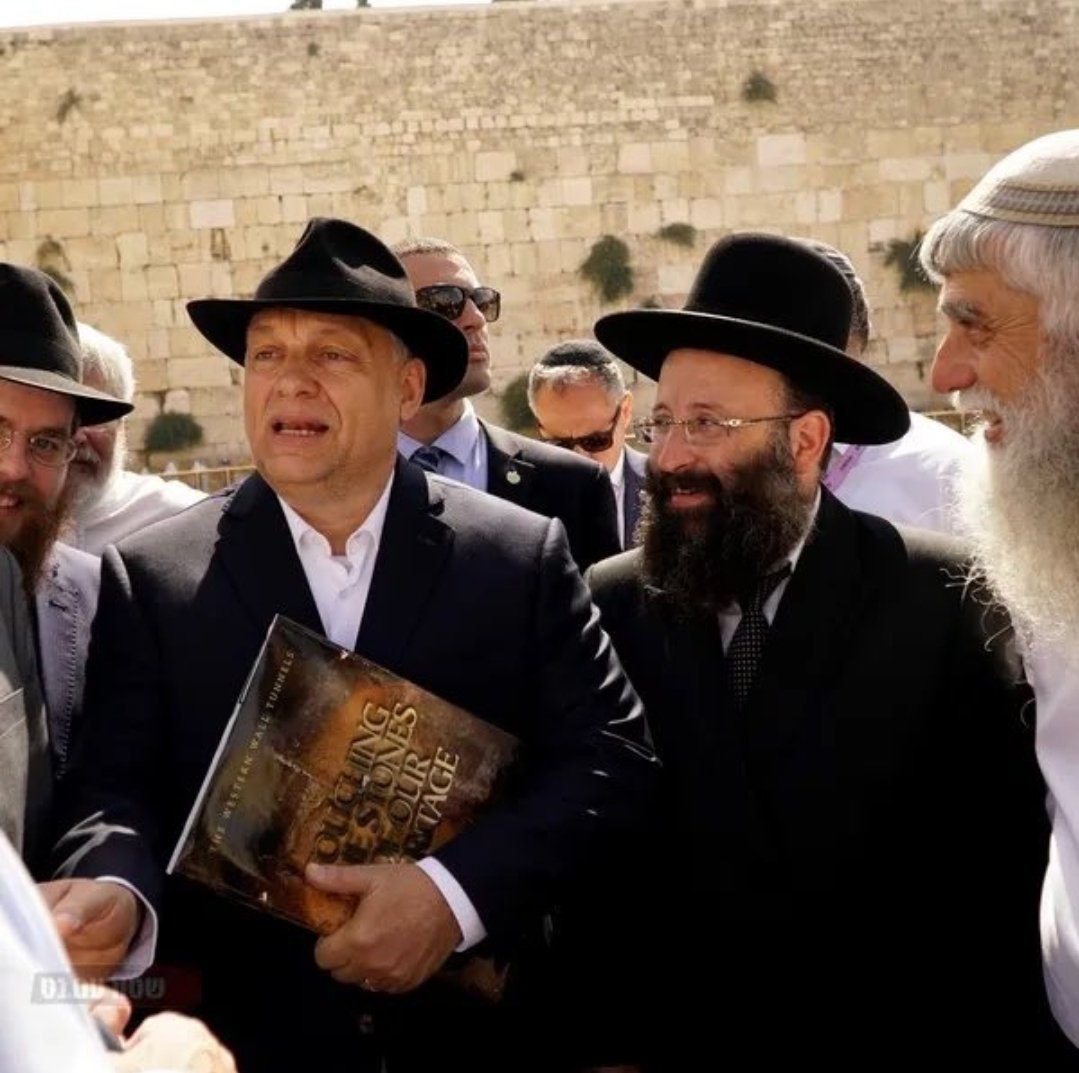 Red Pill USA tweet media