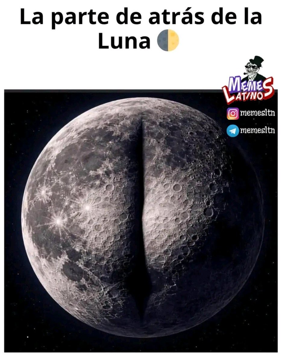 arturoside tweet media