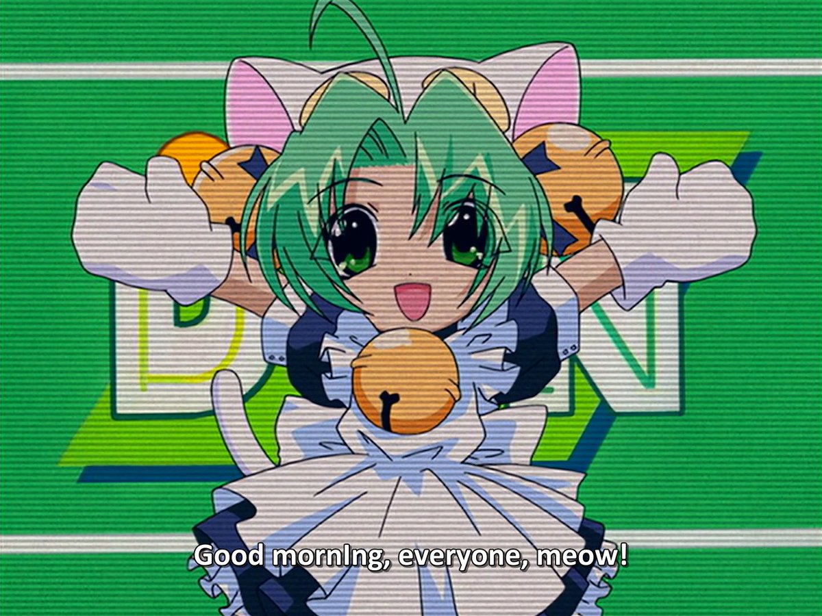 Sponge🌺 tweet media