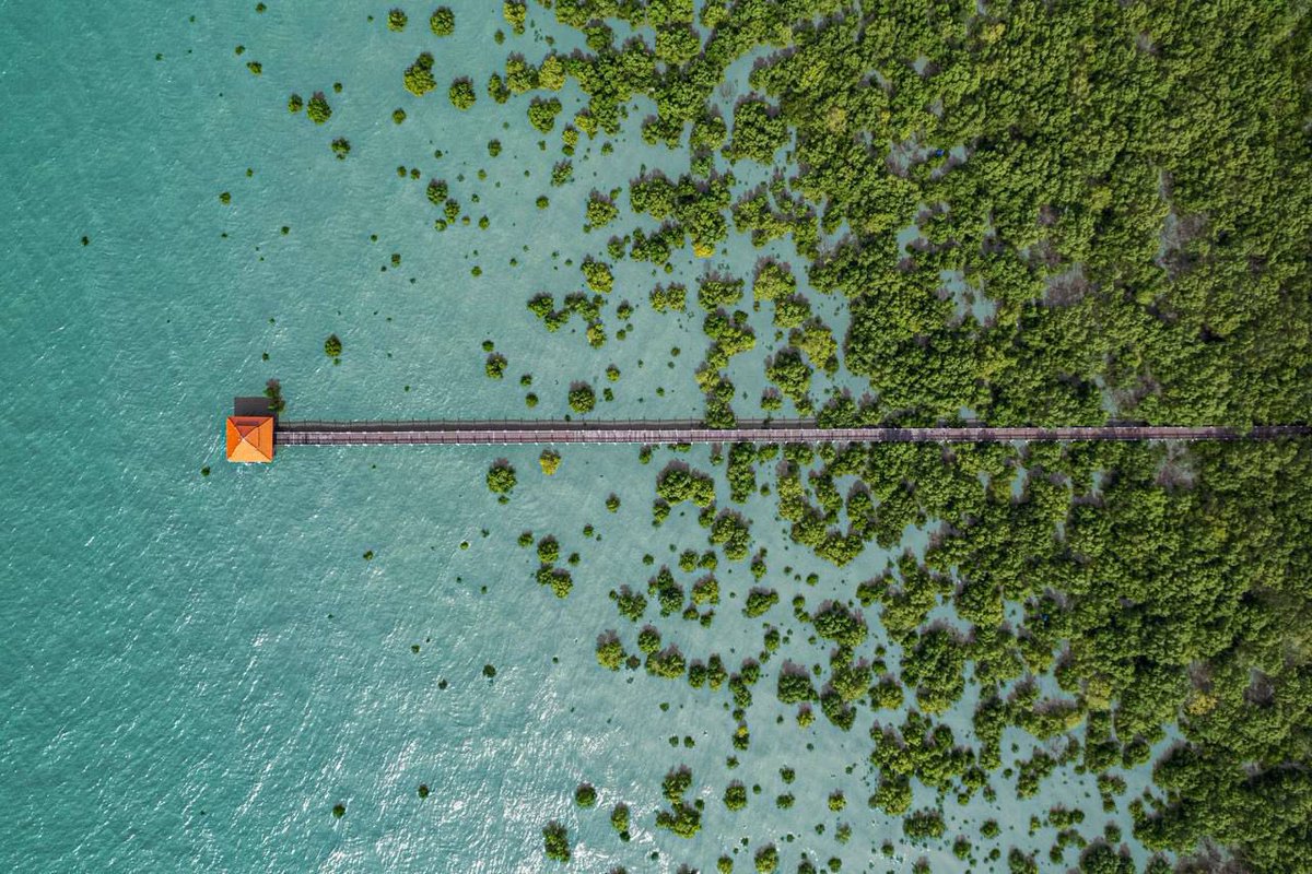 Onn Hafiz Ghazi tweet media