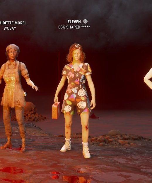 StaidBubble12 tweet media