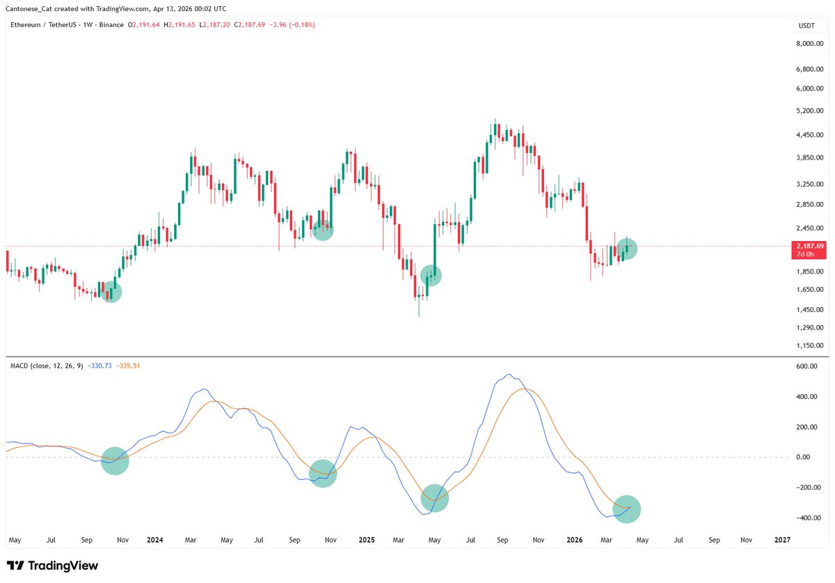 Cantonese Cat 🐱🐈 tweet media