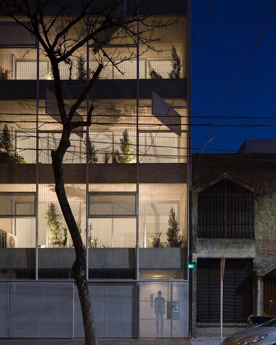 Bauhasaurus tweet media