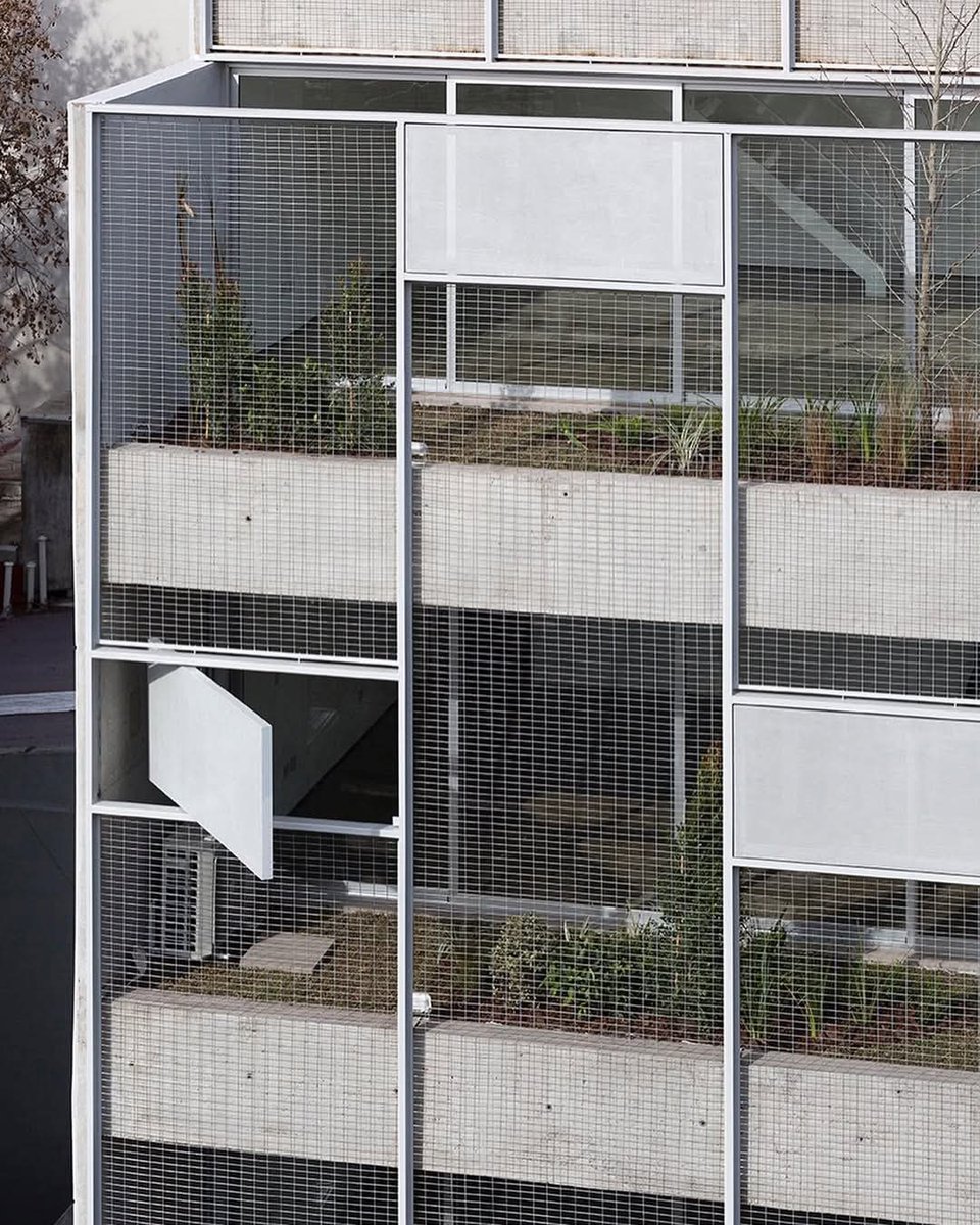 Bauhasaurus tweet media