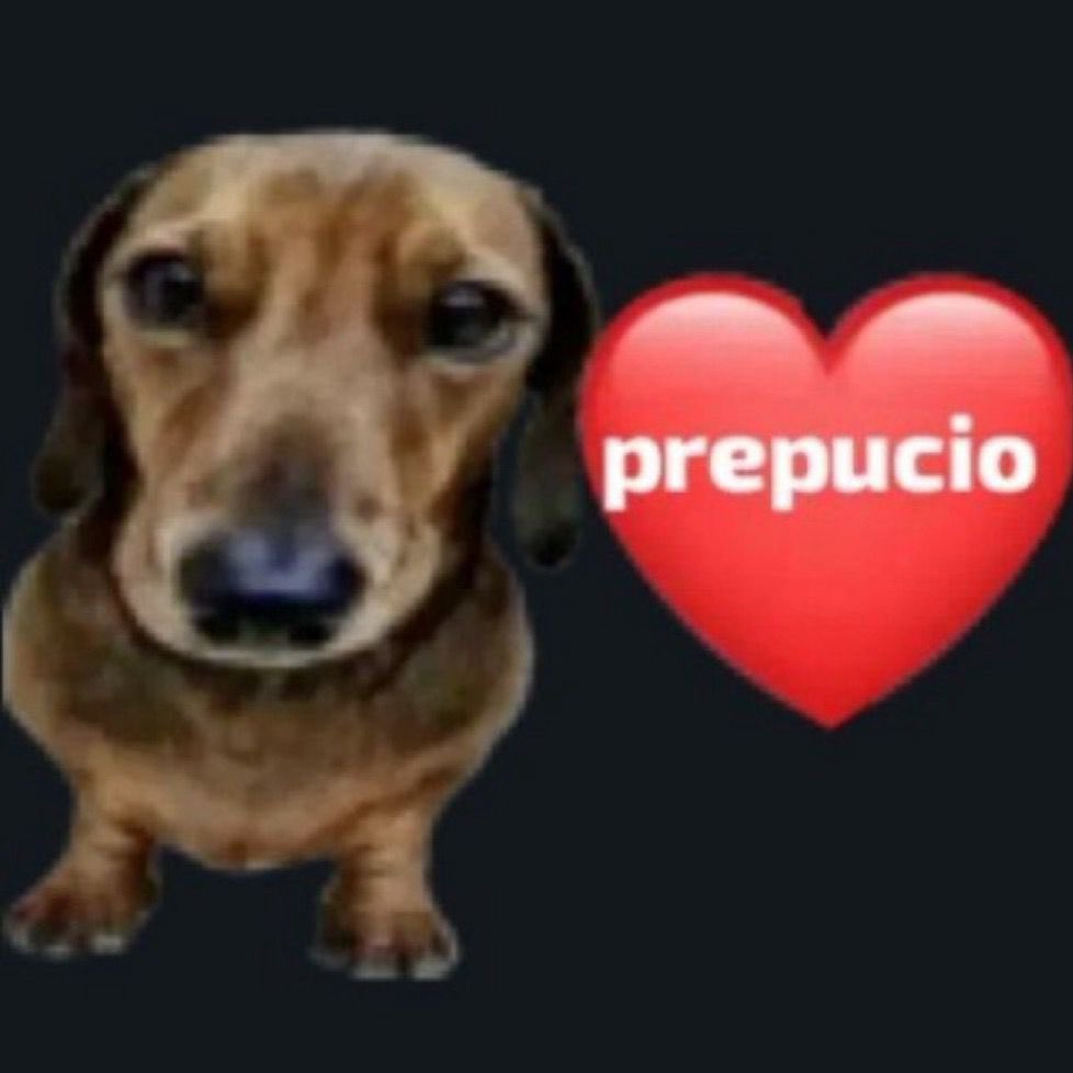 nilo vulgo laposa tweet media