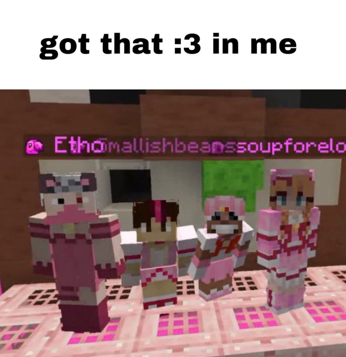 annie ꩜ .ᐟ tweet media