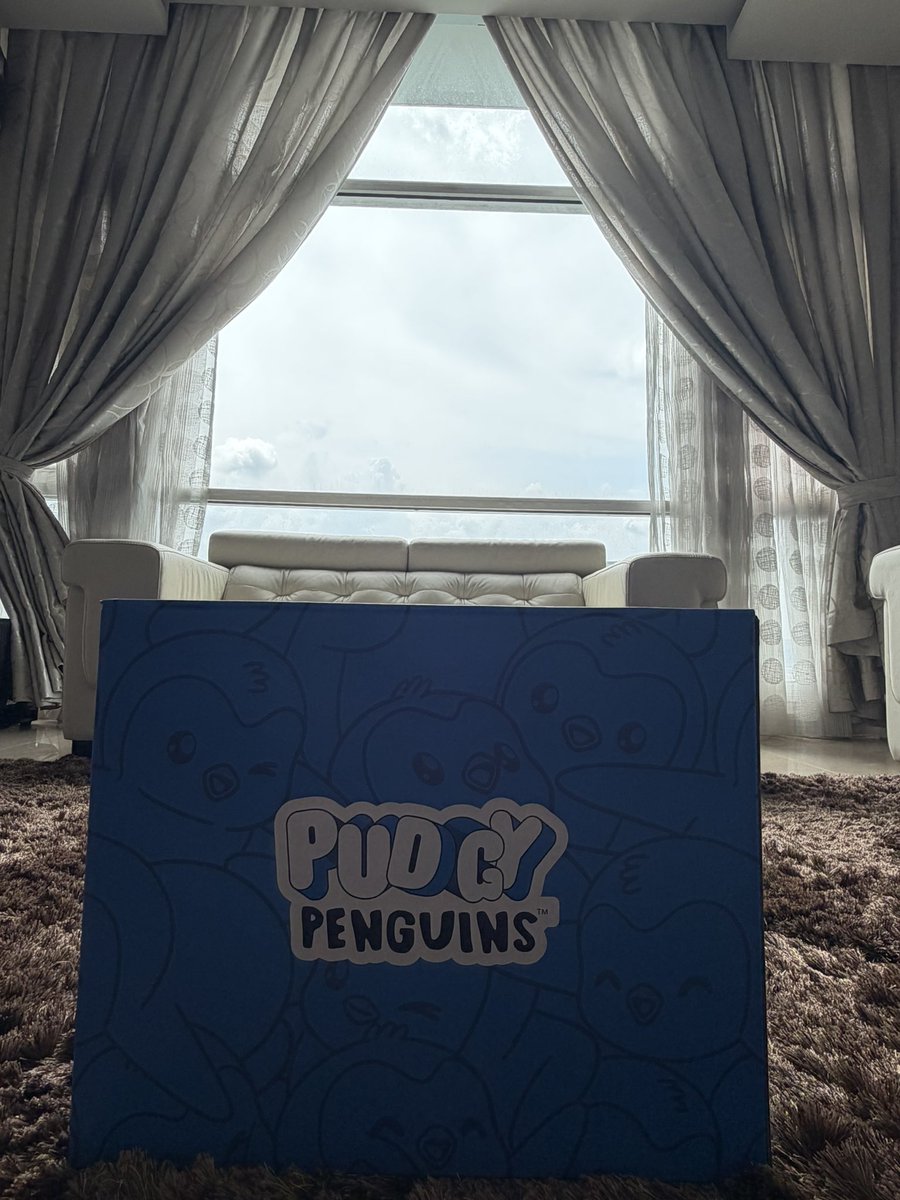 FoxyPenguin 小狐狸 tweet media