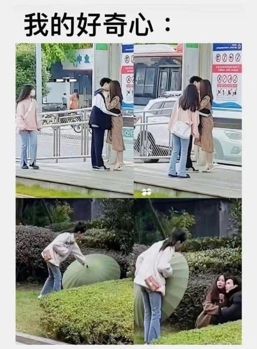 禿道道🐟 tweet media