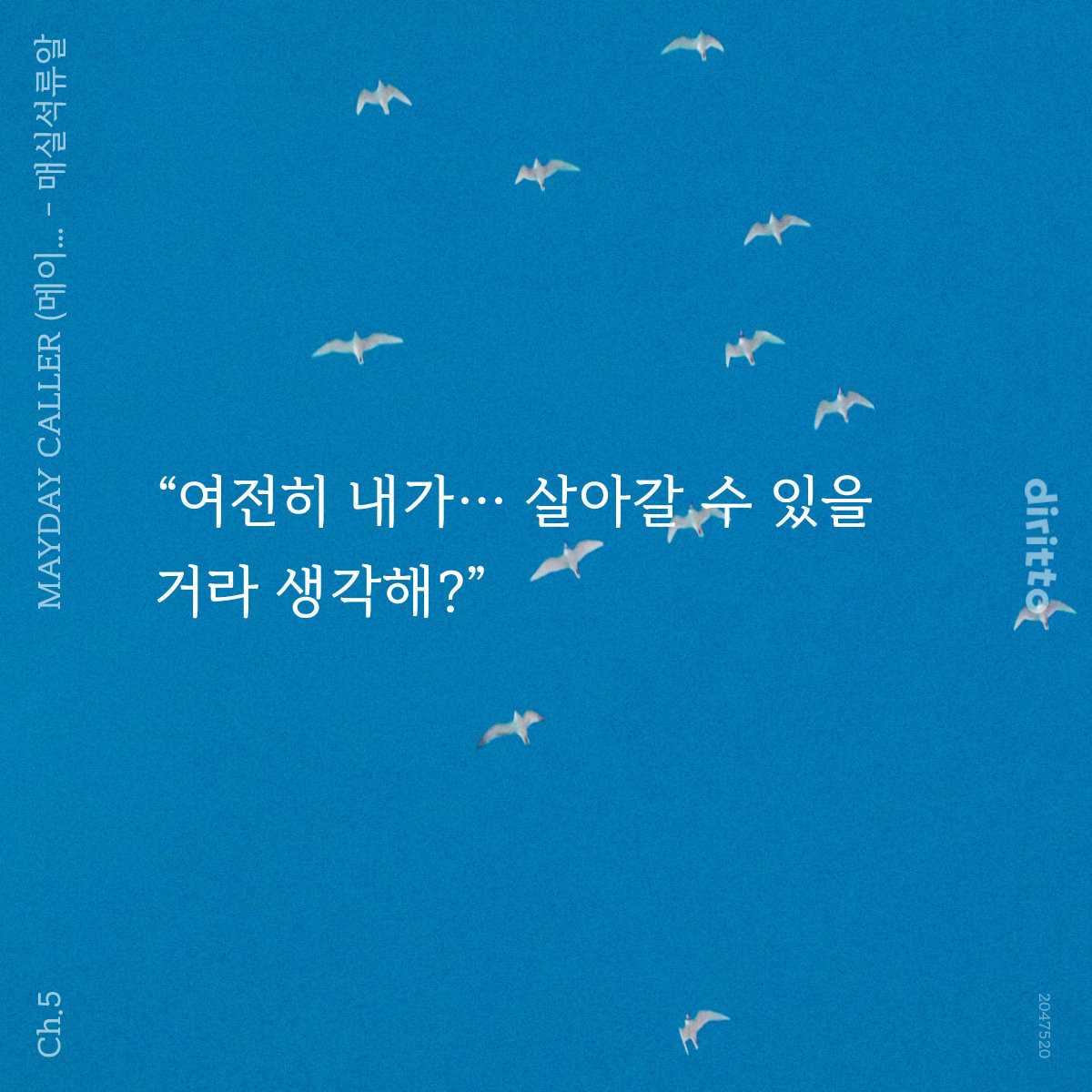 매실석류알 tweet media