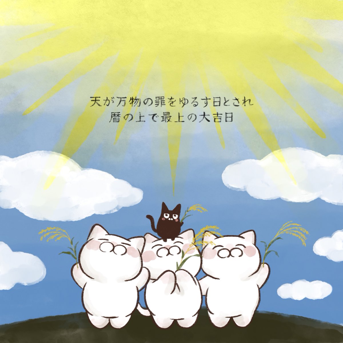 大和猫 tweet media