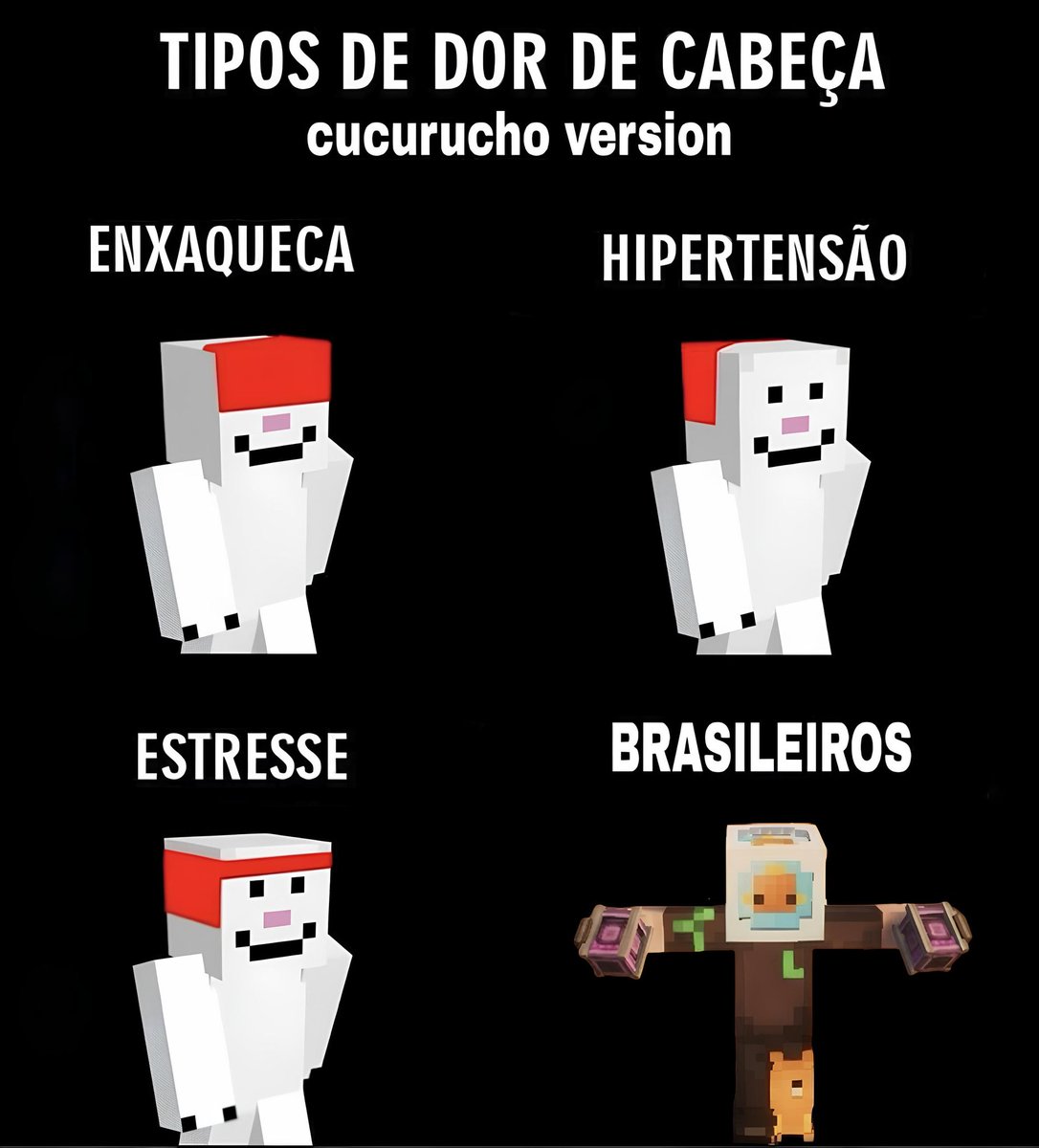 FInzinho tweet media