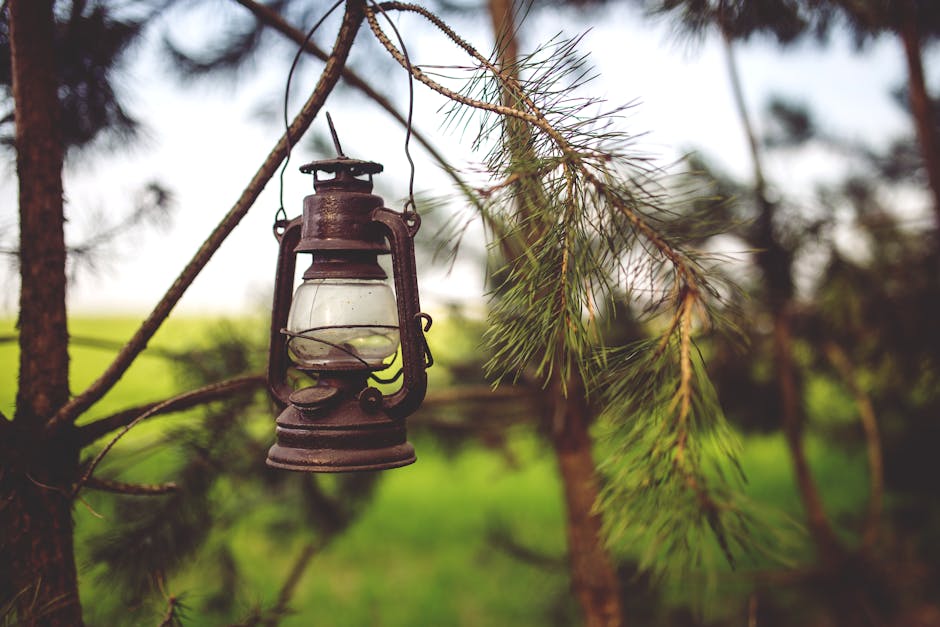 Ellen Warren tweet media