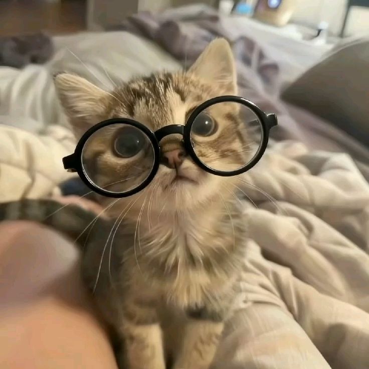 Nerdy 🤓