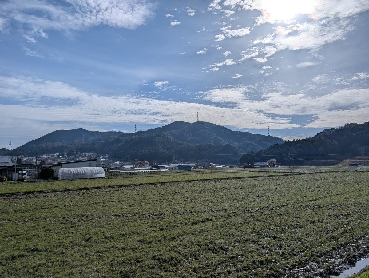 つるや菓子舗 tweet media