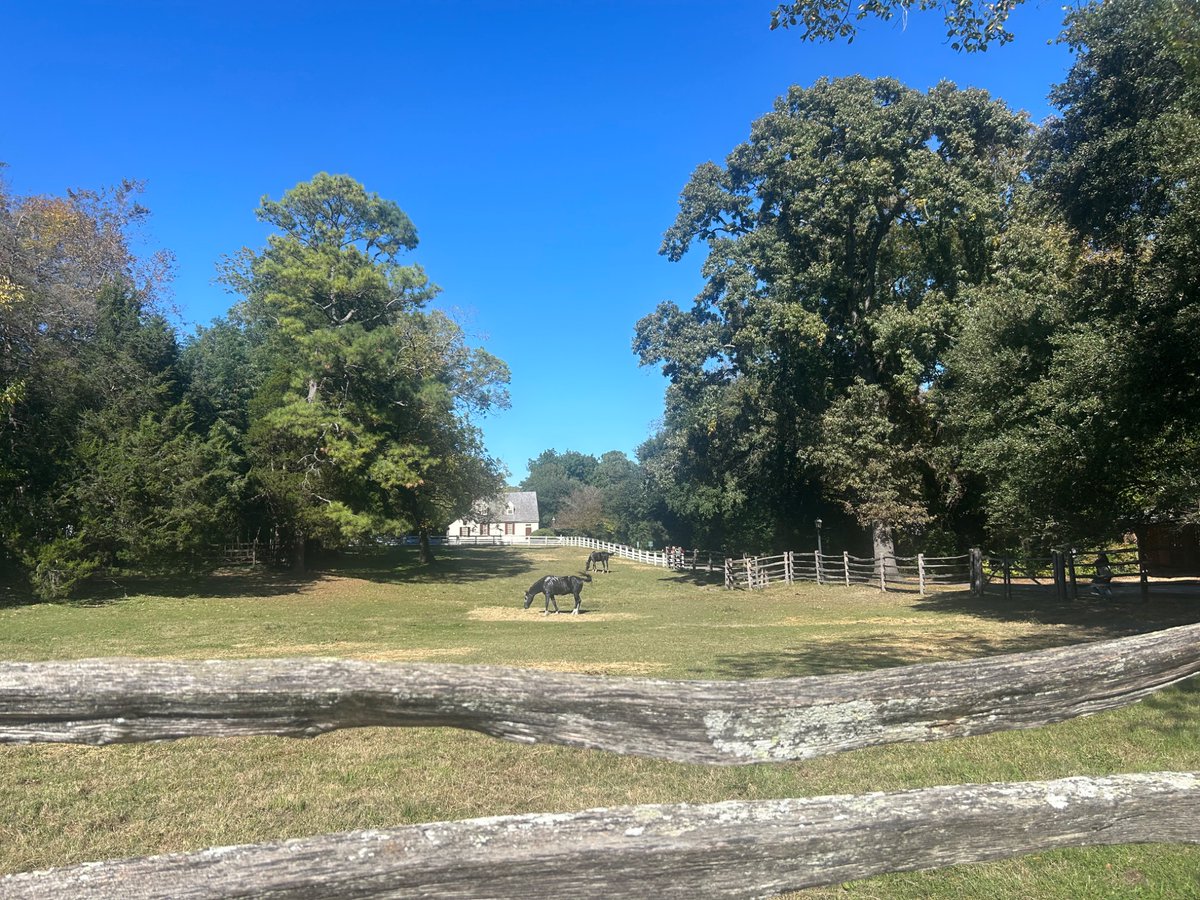 Derek (check pinned) tweet media