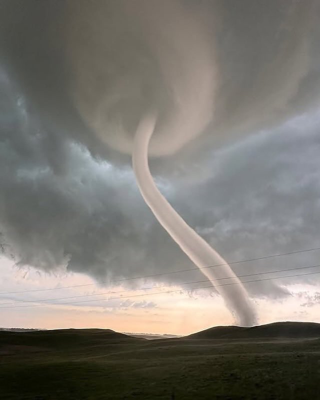 Indie 505 tweet media