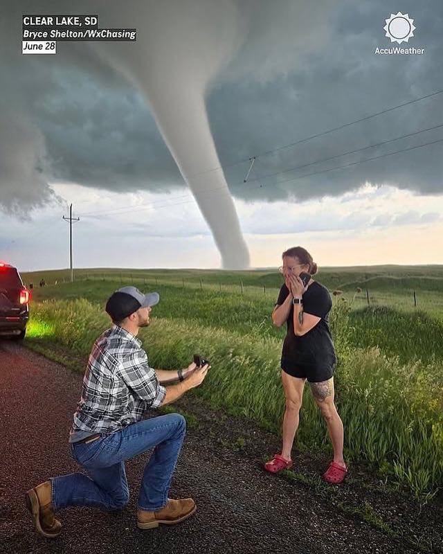 Indie 505 tweet media