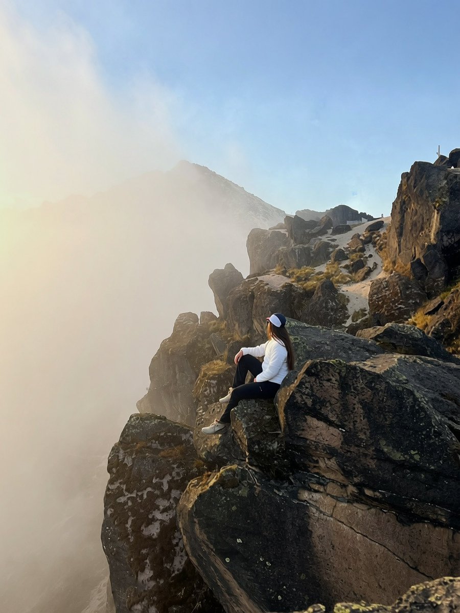 Jessy Freire Manzano tweet media