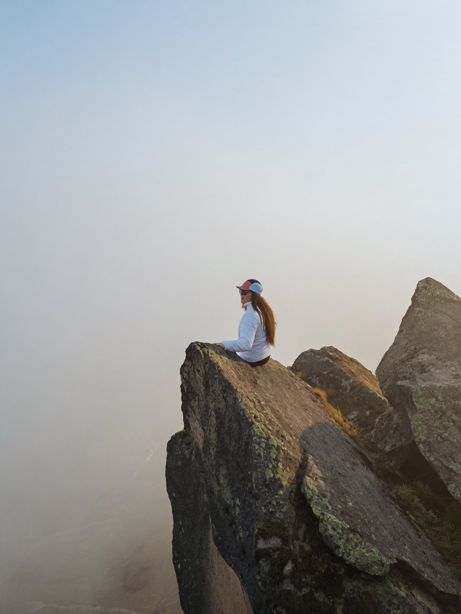 Jessy Freire Manzano tweet media