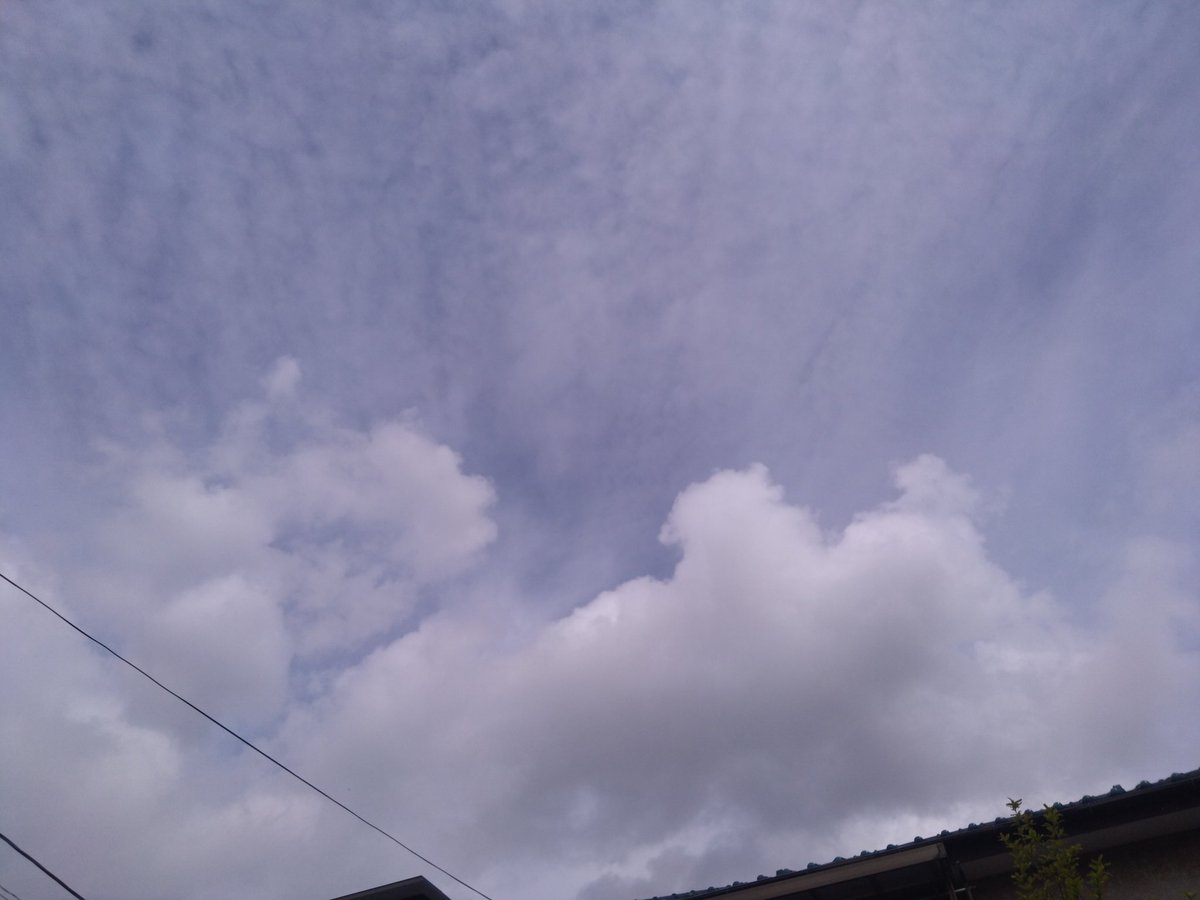 🪈🐻❄うみうみん🐻🦀📖🍛🍍🍴 tweet media