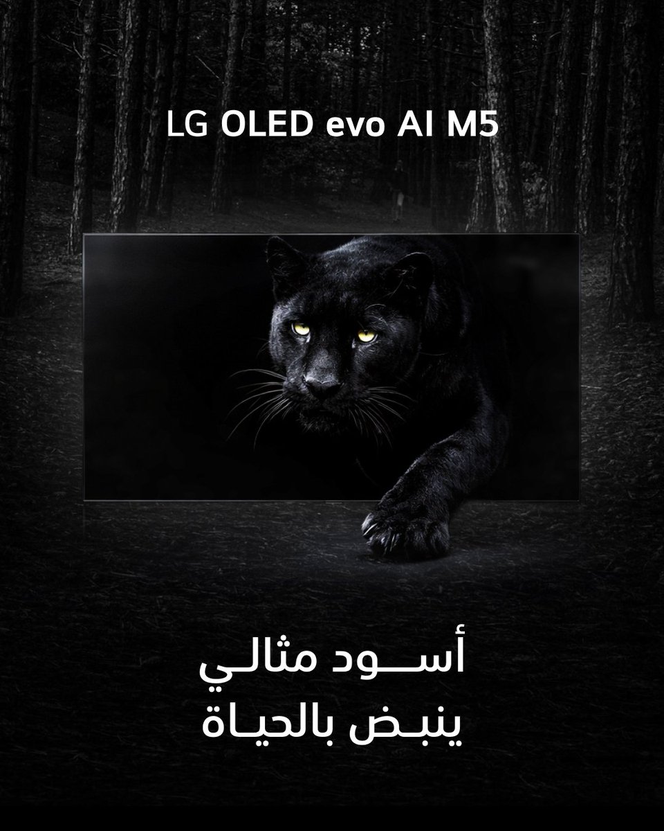LG Saudi tweet media