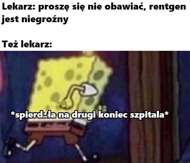 Borsuk 🦡 tweet media
