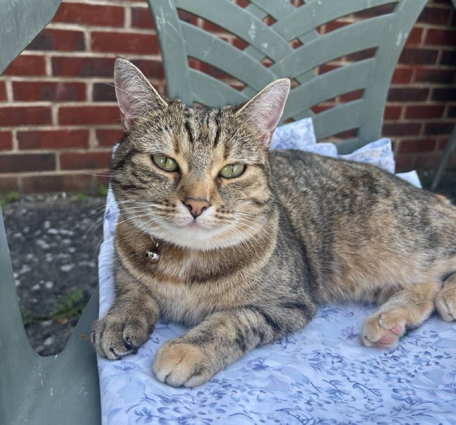 ohio didy totenham😭😭😭😢 tweet media