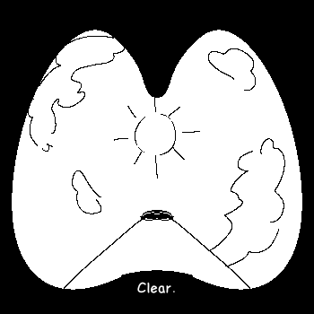 🎉 Gabe 🎉 tweet media