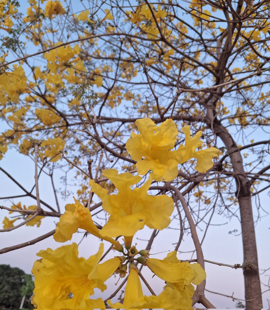 u.u 𓆏 tweet media