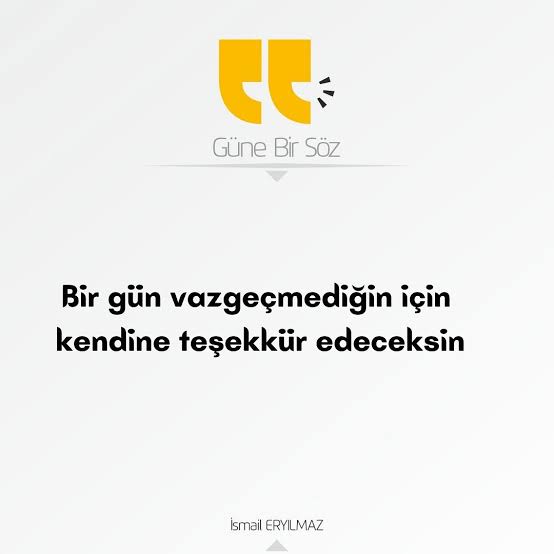 Kaya 🪨 tweet media