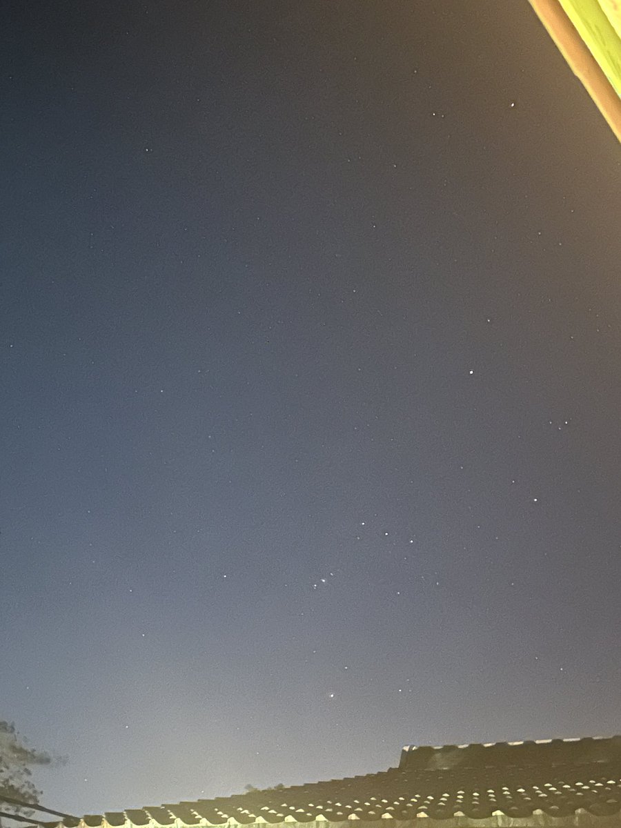 くみすけ tweet media