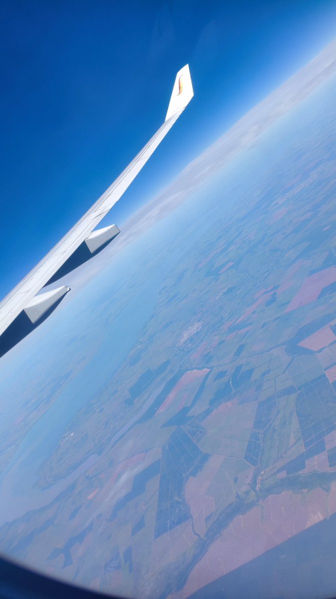 はるさー🎮グラボ死んだ tweet media