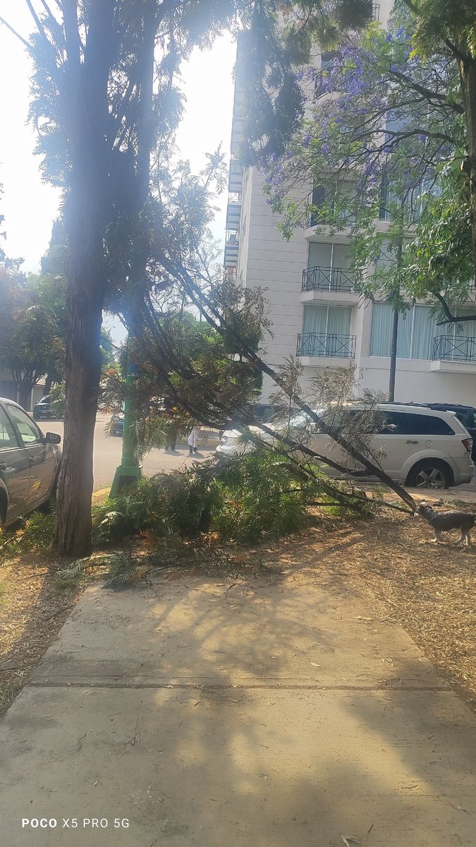 Soraya L tweet media