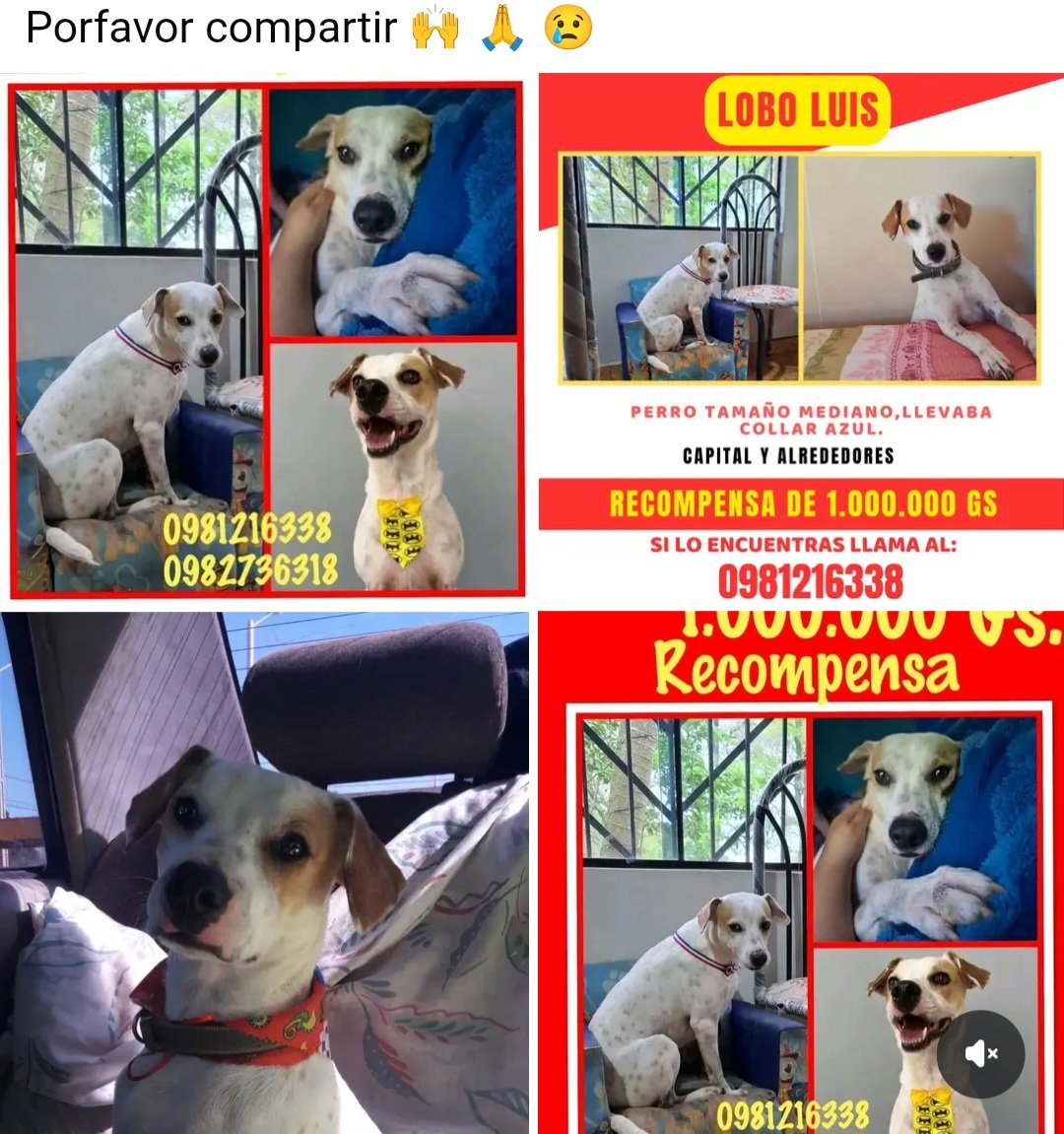 MiravalPy tweet media