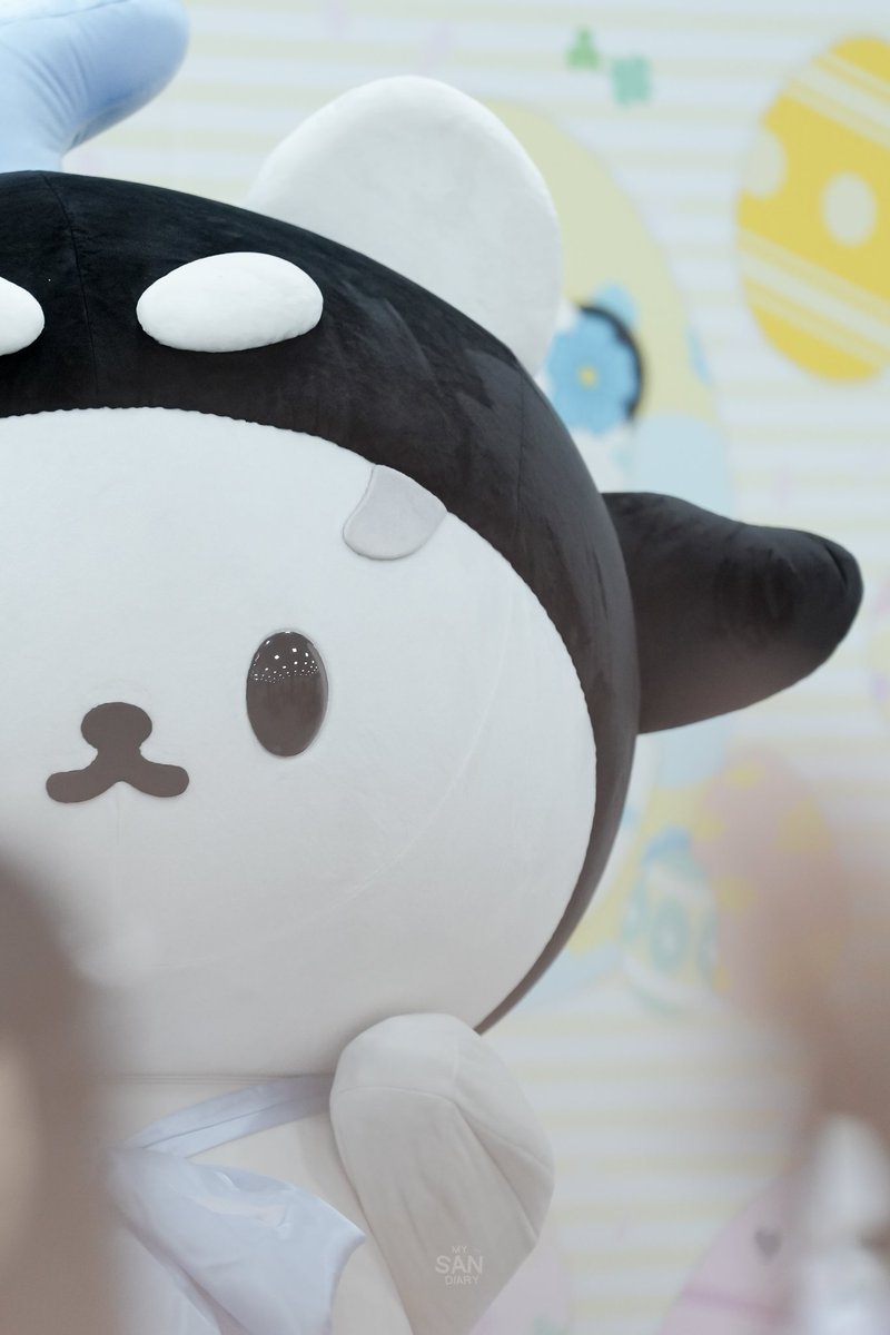 ₊°。❆ mySANdiary ❆。°₊ tweet media