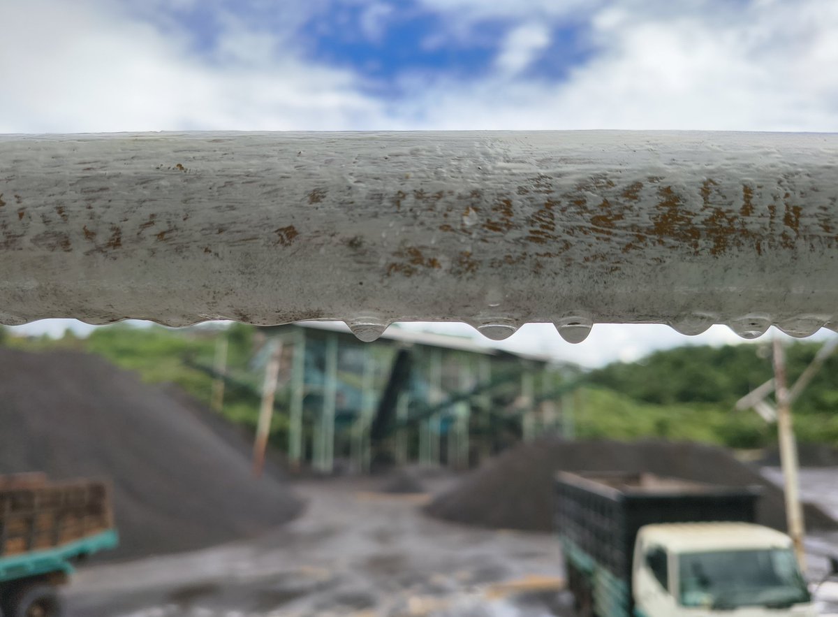 S P A R R O W tweet media