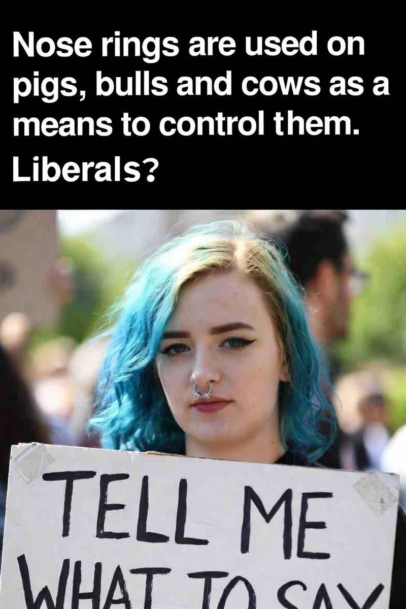 ZenPirate tweet media