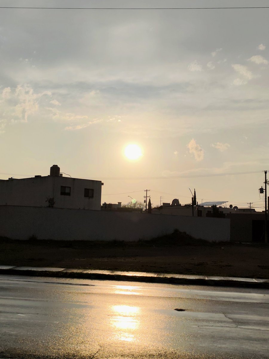 Elekt_Demon tweet media