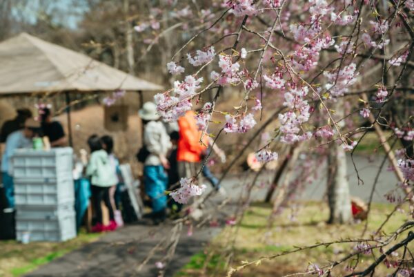 (株)柳沢林業 tweet media