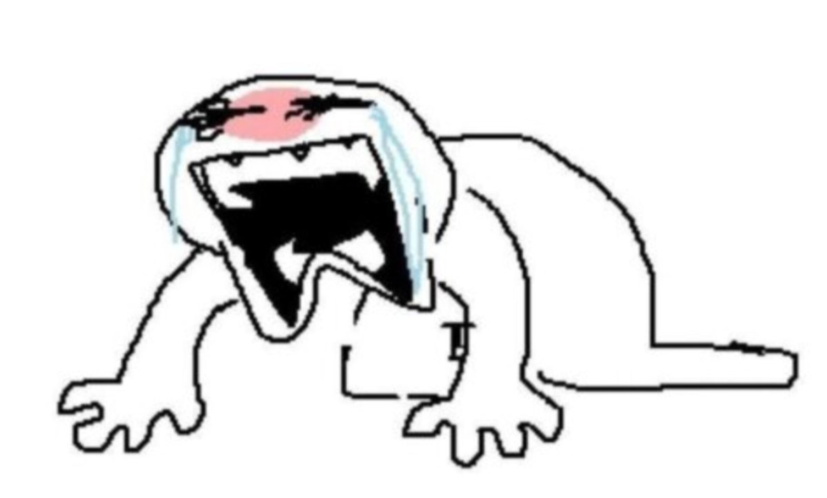 🇵🇪Alejo Reviewer tweet media