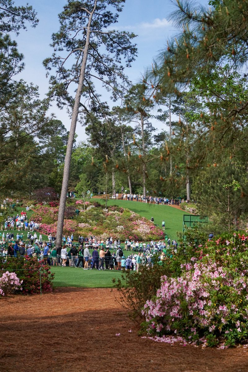 Scott_Pauley's tweet photo. A Few Reflections from the Masters

The Masters concluded today. Like many of you, I have enjoyed watching it from afar for years. For the record, I was in church tonight when it finished and hope you were able to be as well! There is not a sporting event on earth that compares to being with the Lord‘s people on the Lord’s day.

Golf is an interesting (and sometimes frustrating!) sport. There are a host of life lessons that can be learned from the discipline, concentration, patience and honesty that golf requires. This week I had the privilege to accompany some friends for a day to The Masters. It was a memorable experience for many reasons. Beyond the immaculate grounds, unparalleled service, world class golf and enjoyable fellowship, there were a few takeaways that were a tremendous help to me. Permit me to share my observations…

1. Tradition is not evil. Beloved sportscaster Jim Nantz famously coined the expression “a tradition unlike any other” that has become the iconic slogan of the Masters golf tournament. The entire experience - from the old school leader boards, patron etiquette, dress code, long standing rules, down to the details of the food - all reflects long standing traditions. For some reason, tradition is despised in religious circles, and novelty is esteemed. But it is good to remember that many traditions are rooted in meaningful values. For sure, tradition can be elevated to a place it should not hold, but traditions based on truth should be loved and held. In a world that is always changing, refuse to adjust to every trend and keep a healthy respect for some traditions. 

2. Phones are not necessary. It was amazing. Thousands and thousands of spectators…and not one mobile phone. As the day progressed and we walked the legendary golf course, one thing stood out to me. People were present. They talked to one another! Everyone was engaged in the event instead of distracted by a device. The sights and sounds of Augusta were more pronounced and beautiful because we did not spend the day with our head down. I wonder what life would be like if we left our mobile devices for one day. We are thankful for technology and must steward it well. But mobile devices are not essential for a worthwhile life and work. Beware of missing what is right in front of you.

3. Money does not make you happy. There were all kinds of people at the event. Most of us were just normal people from different parts of the world, simply grateful to be able to attend. There were many wealthy and famous people there, and I could not help but do some people watching between golf shots. As I looked around the galleries, I was reminded that no amount of riches or recreation can fill the empty place only Jesus can fill. Alcohol cannot satisfy soul thirst. Material things cannot bring meaning. Athletes at the top of their game, executives at the top of their career, and people on top of the world, all need Christ. Many things can distract, but only He can fulfill.

Oh yes, there was one other thing I learned… I am not a real golfer! I pretend to be one periodically, but watching true professionals, it is obvious that my game is subpar (pun intended). I will continue to enjoy an occasional round with Dad, Grant, and some friends, and be grateful for all God is teaching me about life. I admire those who “master” their sport. I respect those who emphasize family and integrity. I appreciate those who use their platform to speak of Christ. In the end, golf is just a game. Life is not.