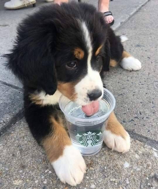 𝑁𝑖𝑐𝑘𝑦 ENHYPEN IS SEVEN tweet media