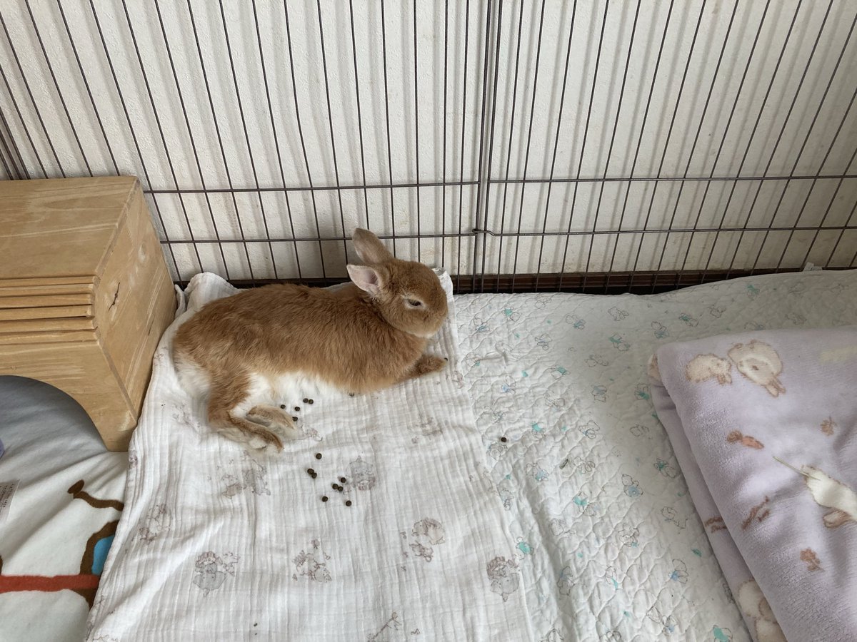 まったりする時間が増えたね😊🌸