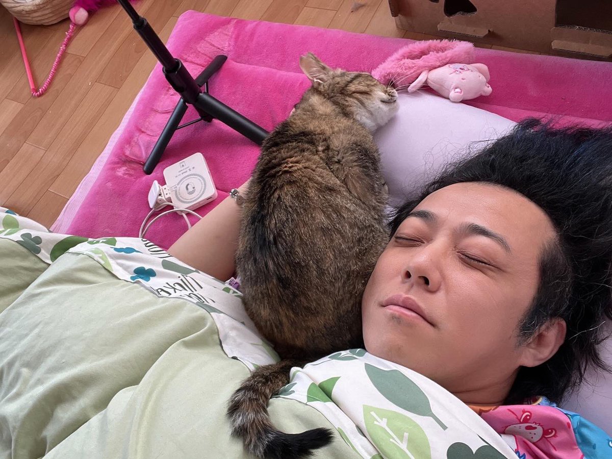imaima_maimai's tweet image. 彼氏もできぬまま
人生で猫と添い寝する日が来るとは思ってもいなかった #猫 #ゲイ #LGBT #保護猫