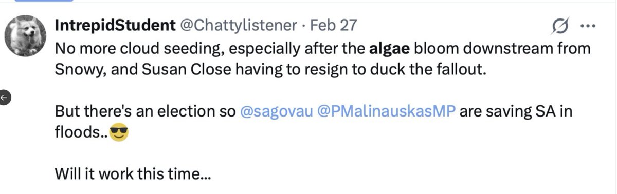 IntrepidStudent tweet media